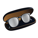Eyewear Case